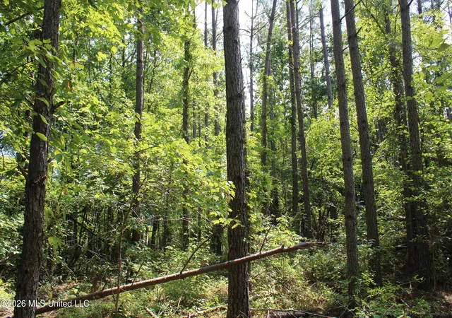 Photo 3 of Sale Pending at 3001 Wilkins Chapel Rd, Holly Springs, MS 38635 | MLS# 4159028 | Listing updated on 2026-08-13