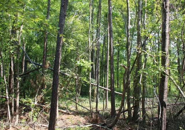 Photo 3 of Sale Pending at 3001 Wilkins Chapel Rd, Holly Springs, MS 38635 | MLS# 4159028 | Listing updated on 2026-08-13