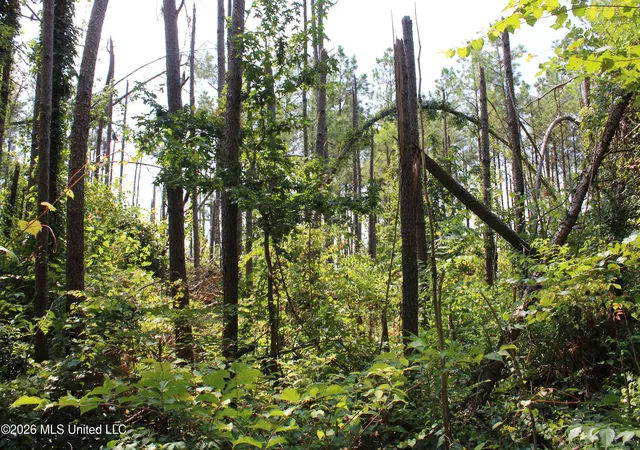 Photo 4 of Sale Pending at 3001 Wilkins Chapel Rd, Holly Springs, MS 38635 | MLS# 4159028 | Listing updated on 2026-08-13