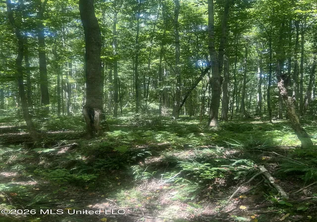 3rd image of Hwy 72, Walnut, MS 38683 | MLS# 4159009