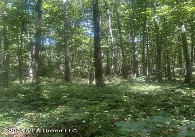 6th image of Hwy 72, Walnut, MS 38683 | MLS# 4159009