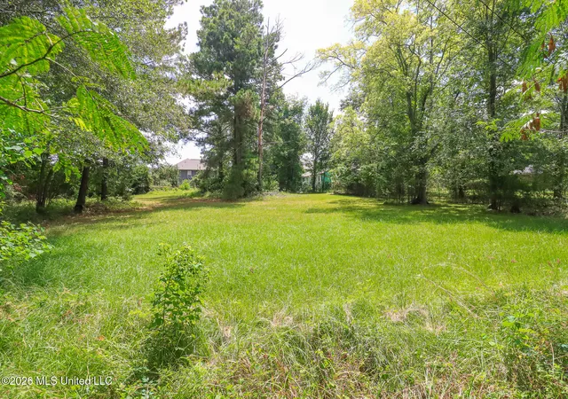Photo 3 of Land for sale at 0 Woody Dr, Brandon, MS 39047 | MLS# 4159039 | Listing updated on 2026-08-13