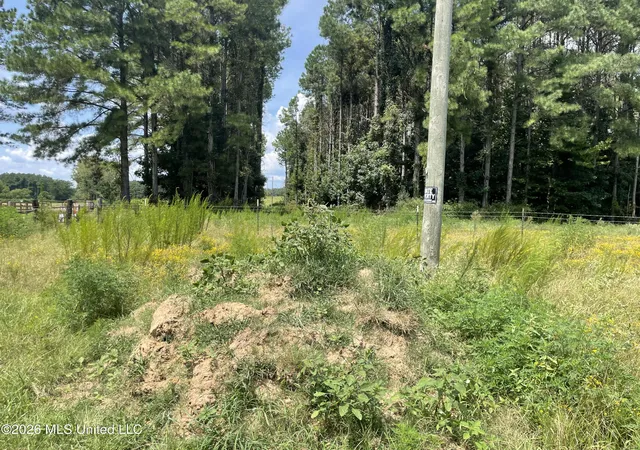 Land for sale at Steward Rd, Senatobia, MS 38668 | MLS# 4159233