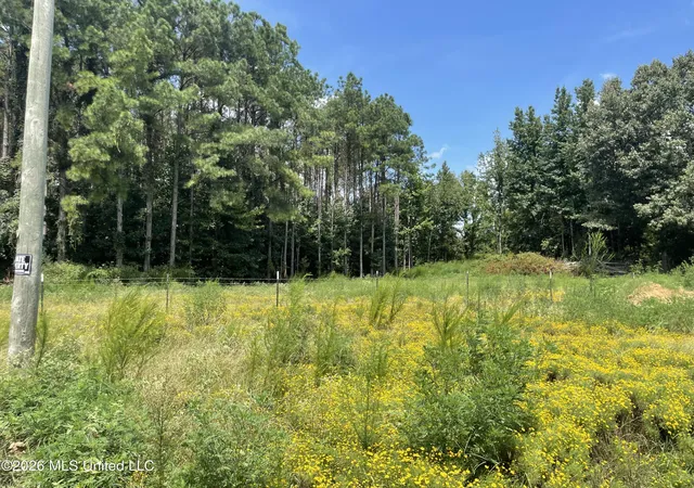 Photo 1 of Land for sale at Steward Rd, Senatobia, MS 38668 | MLS# 4159233 | Listing updated on 2026-09-17