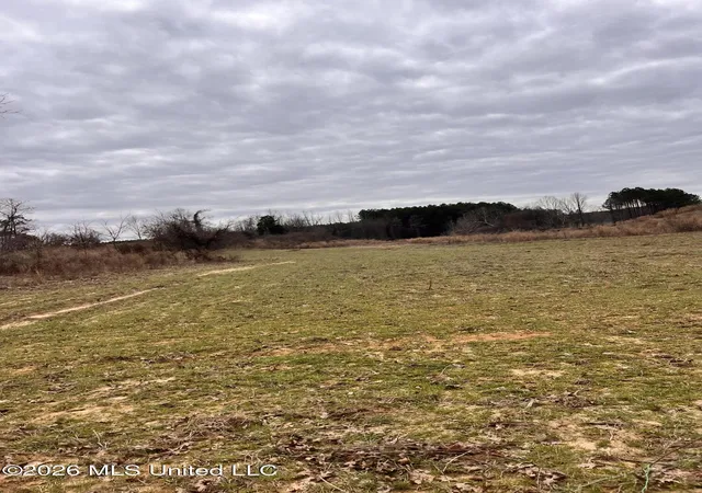 Photo 2 of Land for sale at Steward Rd, Senatobia, MS 38668 | MLS# 4159233 | Listing updated on 2026-09-17