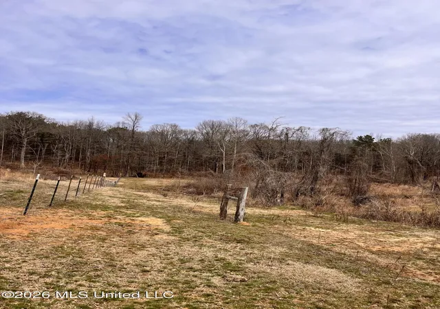 Photo 3 of Land for sale at Steward Rd, Senatobia, MS 38668 | MLS# 4159233 | Listing updated on 2026-09-17