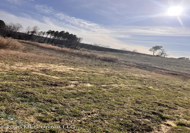 Photo 4 of Land for sale at Steward Rd, Senatobia, MS 38668 | MLS# 4159233 | Listing updated on 2026-09-17