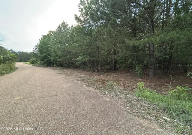 Photo 2 of Land for sale at 00 Meadow Dr, Byram, MS 39272 | MLS# 4159035 | Listing updated on 2026-09-12