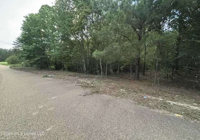 Photo 3 of Land for sale at 00 Meadow Dr, Byram, MS 39272 | MLS# 4159035 | Listing updated on 2026-09-12