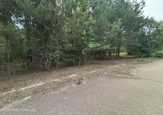 Photo 3 of Land for sale at 00 Meadow Dr, Byram, MS 39272 | MLS# 4159035 | Listing updated on 2026-09-12