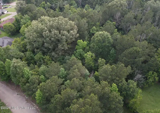 Photo 4 of Land for sale at 00 Meadow Dr, Byram, MS 39272 | MLS# 4159035 | Listing updated on 2026-09-12