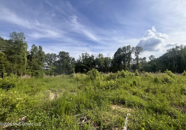 Photo 2 of Land for sale at 1 Pettey Rd, Forest, MS 39074 | MLS# 4159079 | Listing updated on 2026-08-13