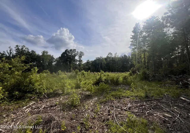 Photo 3 of Land for sale at 1 Pettey Rd, Forest, MS 39074 | MLS# 4159079 | Listing updated on 2026-08-13