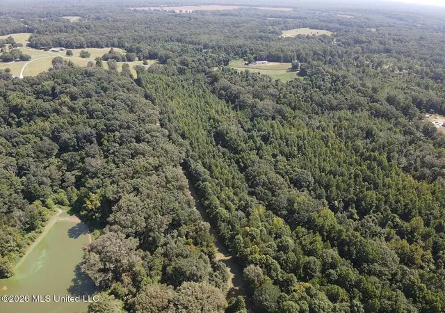 4th image of Wildwood Rd, Vaughan, MS 39179 | MLS# 4159058