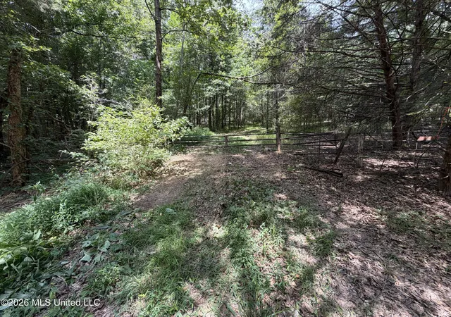 51st image of Wildwood Rd, Vaughan, MS 39179 | MLS# 4159058