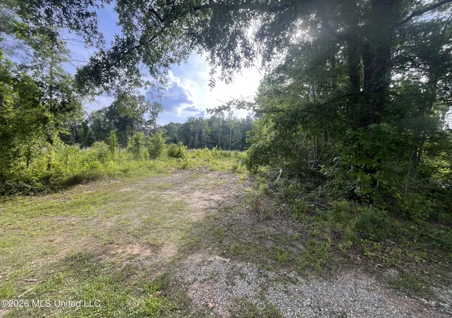 Photo 1 of Land for sale at 2 Pettey Rd, Forest, MS 39074 | MLS# 4159082 | Listing updated on 2026-08-13