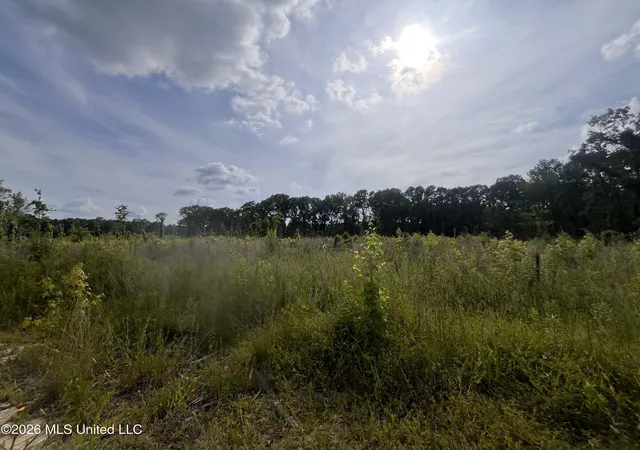 Photo 2 of Land for sale at 2 Pettey Rd, Forest, MS 39074 | MLS# 4159082 | Listing updated on 2026-08-13