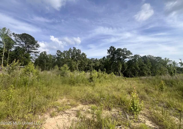 Photo 3 of Land for sale at 2 Pettey Rd, Forest, MS 39074 | MLS# 4159082 | Listing updated on 2026-08-13