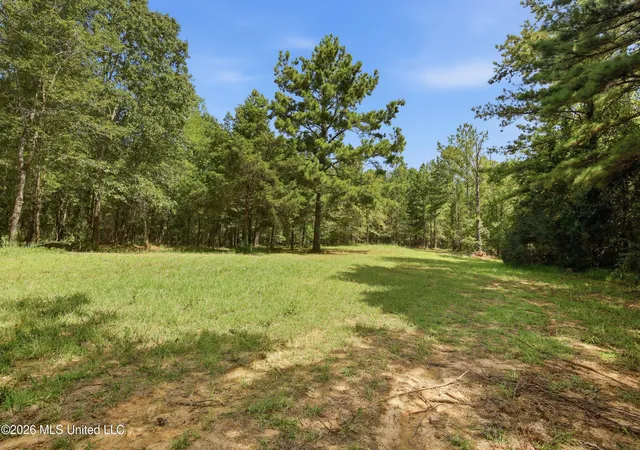 Photo 3 of Land for sale at 478 Potluck Rd, Canton, MS 39046 | MLS# 4159153 | Listing updated on 2026-08-14