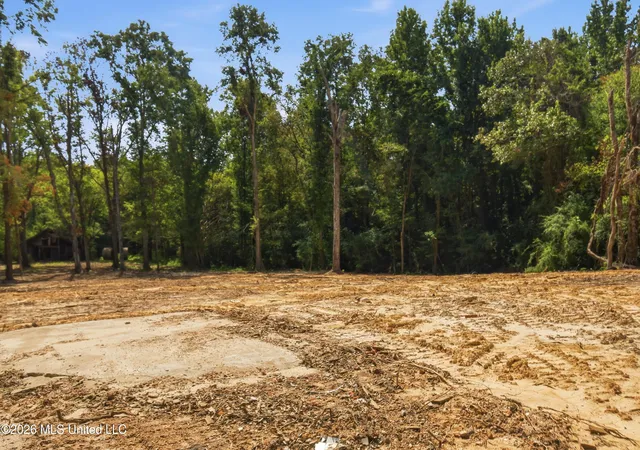 Photo 4 of Land for sale at 478 Potluck Rd, Canton, MS 39046 | MLS# 4159153 | Listing updated on 2026-08-14