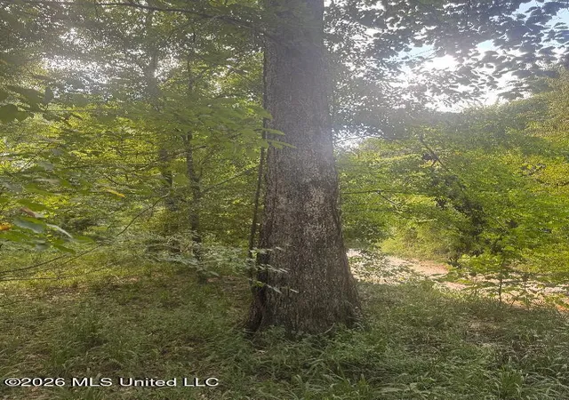 Photo 12 of Sale Pending at 00 Nelson Cor Rd, Roxie, MS 39661 | MLS# 4159152 | Listing updated on 2026-09-11