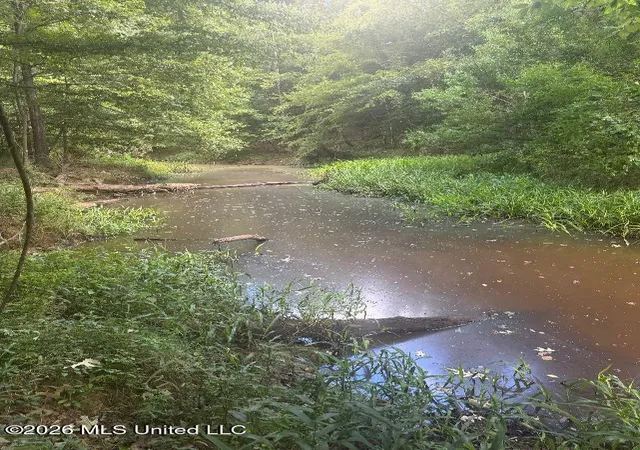 Photo 1 of Sale Pending at 00 Nelson Cor Rd, Roxie, MS 39661 | MLS# 4159152 | Listing updated on 2026-09-11