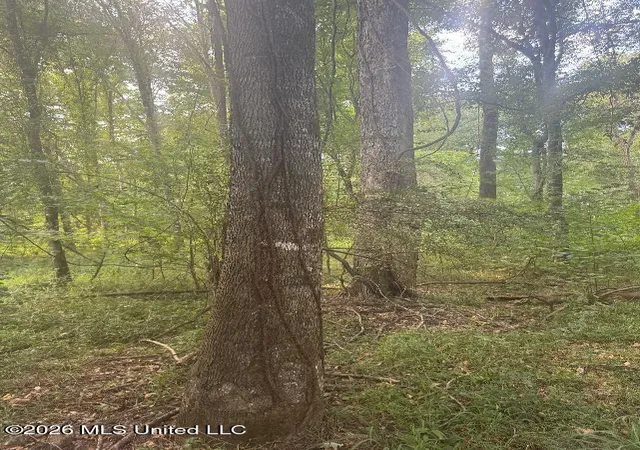 Photo 3 of Sale Pending at 00 Nelson Cor Rd, Roxie, MS 39661 | MLS# 4159152 | Listing updated on 2026-09-11