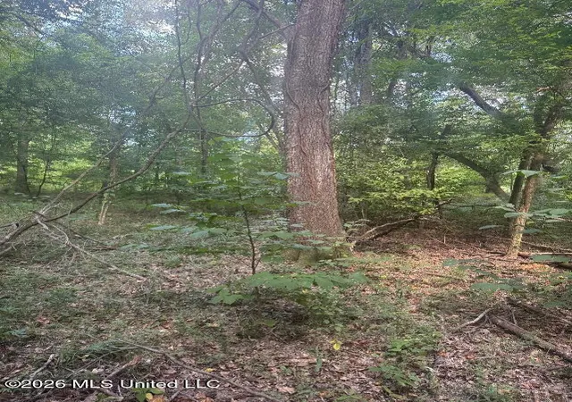 Photo 4 of Sale Pending at 00 Nelson Cor Rd, Roxie, MS 39661 | MLS# 4159152 | Listing updated on 2026-09-11