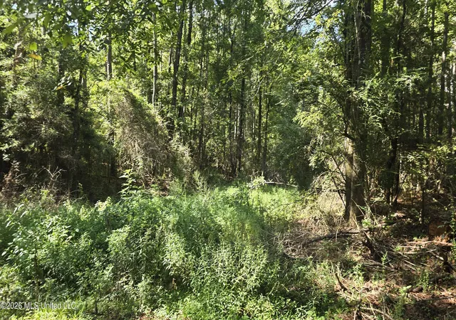 Photo 1 of Land for sale at 3190 Ne Quentin Tower Rd, Mc Call Creek, MS 39647 | MLS# 4159161 | Listing updated on 2026-08-14