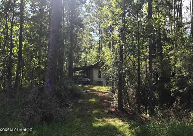 Photo 2 of Land for sale at 3190 Ne Quentin Tower Rd, Mc Call Creek, MS 39647 | MLS# 4159161 | Listing updated on 2026-08-14