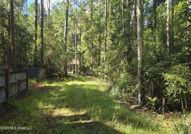 Photo 2 of Land for sale at 3190 NE Quentin Tower Rd, Mc Call Creek, MS 39647 | MLS# 4159161 | Listing updated on 2026-08-14