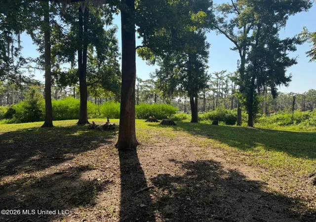Photo 2 of Land for sale at Lake Mary Rd, Woodville, MS 39669 | MLS# 4161000 | Listing updated on 2026-08-31