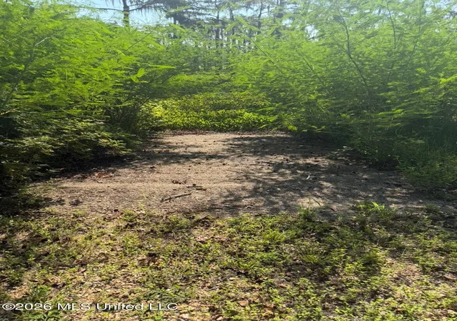 Photo 7 of Land for sale at Lake Mary Rd, Woodville, MS 39669 | MLS# 4161000 | Listing updated on 2026-08-31