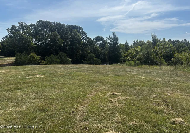 Photo 2 of Land for sale at Still Rd, Sardis, MS 38666 | MLS# 4159235 | Listing updated on 2026-09-14