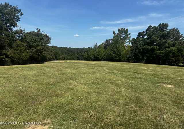 Photo 3 of Land for sale at Still Rd, Sardis, MS 38666 | MLS# 4159235 | Listing updated on 2026-09-14