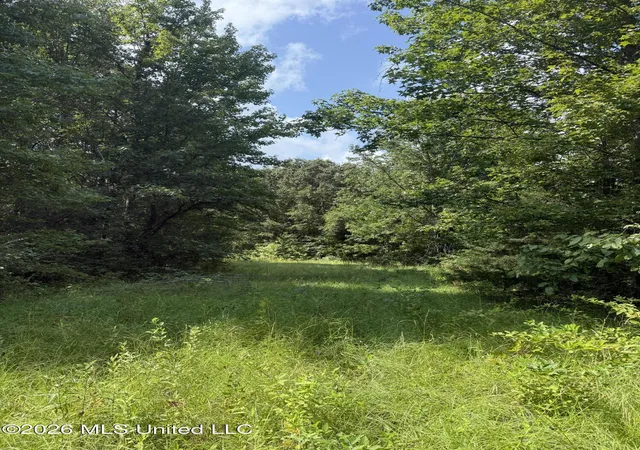 Photo 2 of Sale Pending at Ebenezer Coxburg Rd, Lexington, MS 39095 | MLS# 4159311 | Listing updated on 2026-08-26