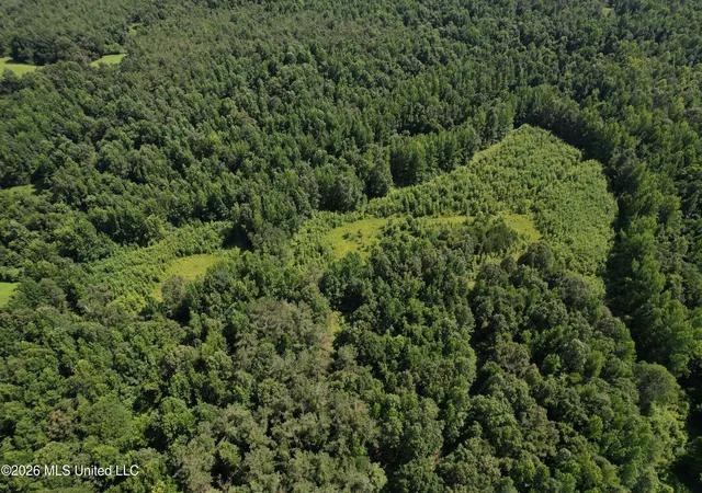 Photo 3 of Sale Pending at Ebenezer Coxburg Rd, Lexington, MS 39095 | MLS# 4159311 | Listing updated on 2026-08-26