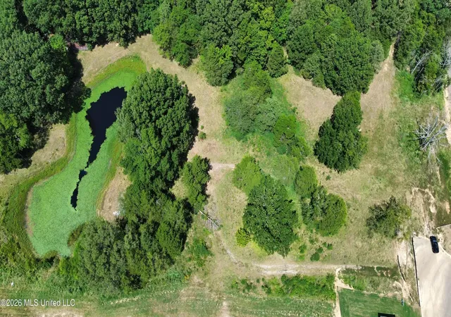 Photo 2 of Land for sale at 4225 Highway 305, Olive Branch, MS 38654 | MLS# 4159260 | Listing updated on 2026-08-14