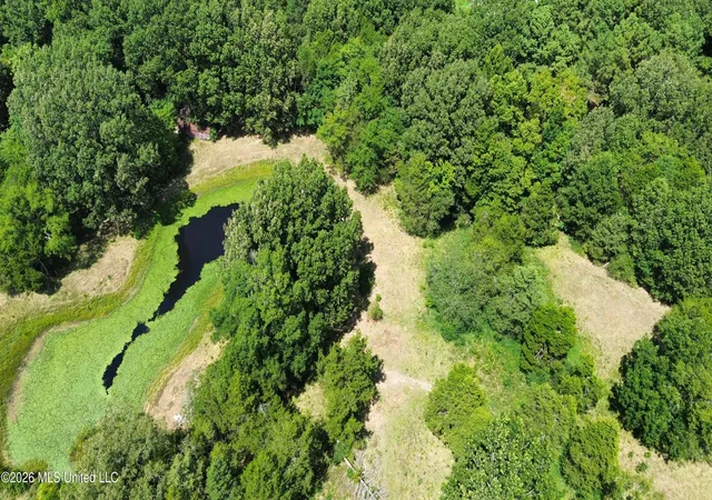 Photo 3 of Land for sale at 4225 Highway 305, Olive Branch, MS 38654 | MLS# 4159260 | Listing updated on 2026-08-14