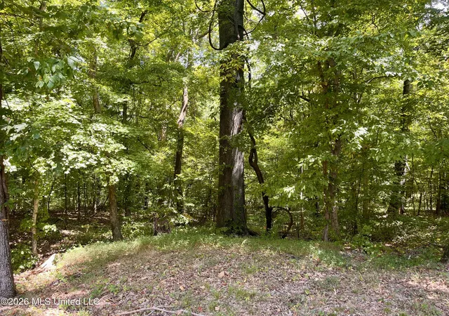 Photo 3 of Single family home for sale at 5560 Poplar Cor Rd, Walls, MS 38680 | MLS# 4159278 | Listing updated on 2026-08-28