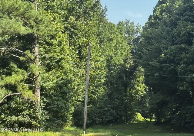 Land for sale at W Sweetwater Rd, Byhalia, MS 38611 | MLS# 4159443