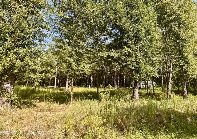 Photo 2 of Land for sale at 0 Robert Rhodes, Poplarville, MS 39470 | MLS# 4159280 | Listing updated on 2026-09-12