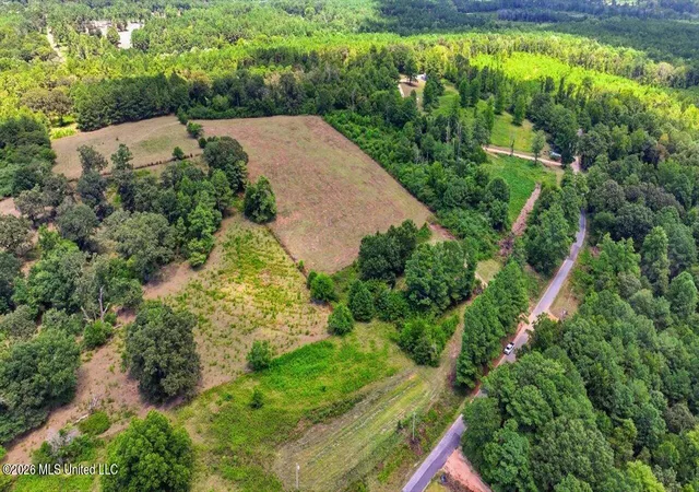Photo 3 of Land for sale at 2306 Scr 80, Taylorsville, MS 39168 | MLS# 4159343 | Listing updated on 2026-08-16