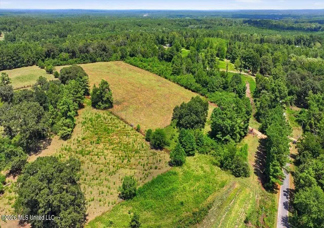 Photo 3 of Land for sale at 2306 Scr 80, Taylorsville, MS 39168 | MLS# 4159343 | Listing updated on 2026-08-16