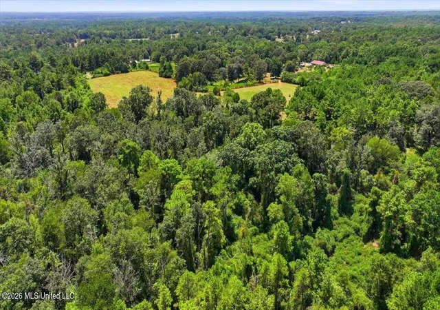 Photo 4 of Land for sale at 2306 Scr 80, Taylorsville, MS 39168 | MLS# 4159343 | Listing updated on 2026-08-16