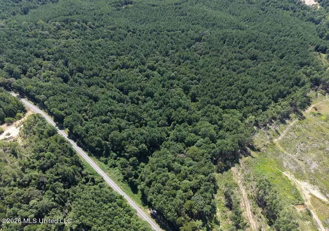 Photo 2 of Land for sale at 1669 Burt Jordan Rd, Mc Call Creek, MS 39647 | MLS# 4159362 | Listing updated on 2026-08-16