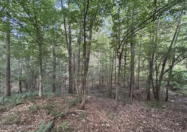 Photo 40 of Land for sale at 1669 Burt Jordan Rd, Mc Call Creek, MS 39647 | MLS# 4159362 | Listing updated on 2026-08-16