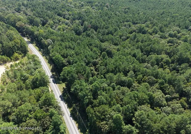 Photo 3 of Land for sale at 1669 Burt Jordan Rd, Mc Call Creek, MS 39647 | MLS# 4159362 | Listing updated on 2026-08-16