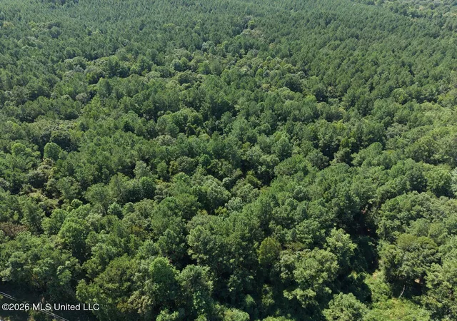 Photo 4 of Land for sale at 1669 Burt Jordan Rd, Mc Call Creek, MS 39647 | MLS# 4159362 | Listing updated on 2026-08-16