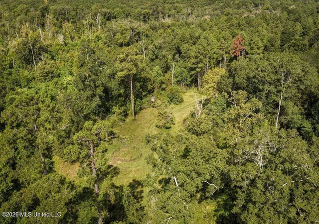 Photo 3 of Land for sale at Xxxx Hamp Lea, Magnolia, MS 39652 | MLS# 4159402 | Listing updated on 2026-09-17